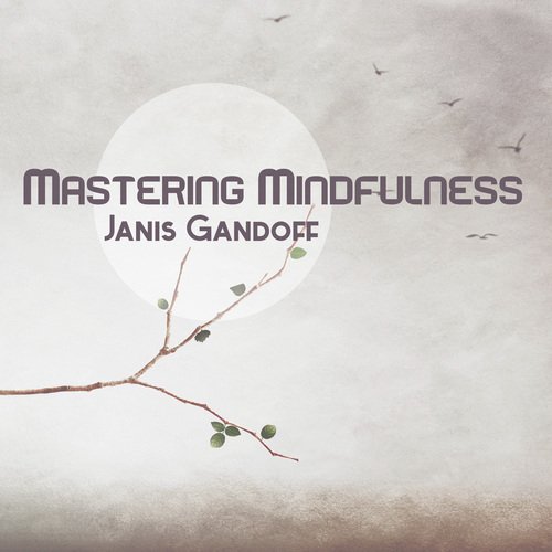 Mindful Spirit cover art