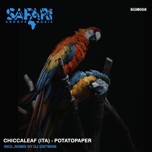 Potatopaper (DJ Entwan Remix) cover art