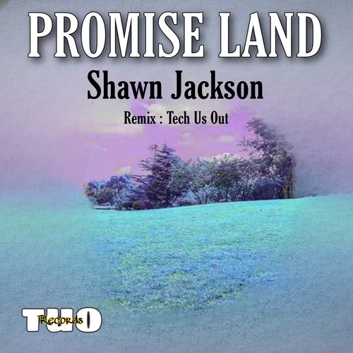 Promise Land (Tech Us Out Remix) cover art