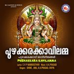 Puzhakkara Kavilamma