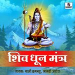 Om Namha Shivay