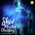 Shiv Mantra Chanting (Om Shivaya Namah)