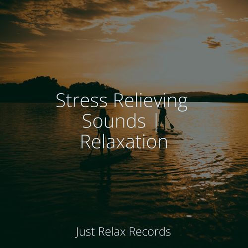 Stress Relieving Sounds | Relaxation