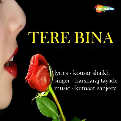 Tere Bina