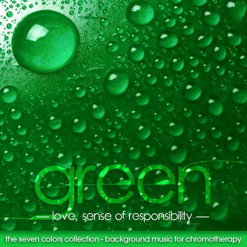 Brahmacharya cover art