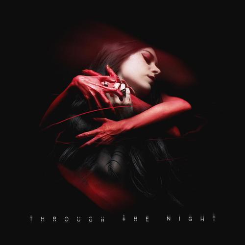 Through the Night (feat. Trivecta)_poster_image