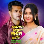 Tomay Deikha Pagol Hoise