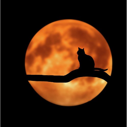 100 Relaxation Sounds of Nature for for Sleep, Calm Night, Relaxation Music, Soft Music