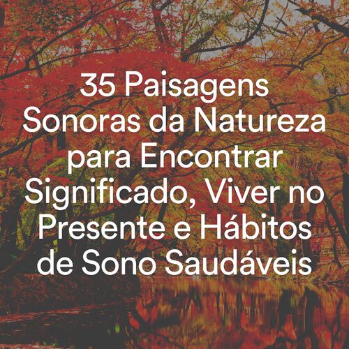 35 Paisagens Sonoras da Natureza para Encontrar Significado, Viver no Presente e Hábitos de Sono Saudáveis