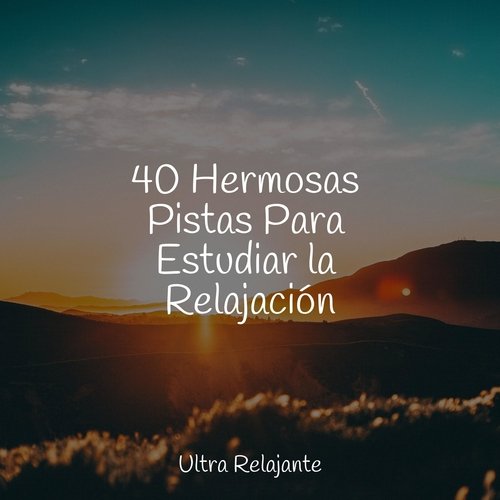 40 Hermosas Pistas Para Estudiar la Relajación