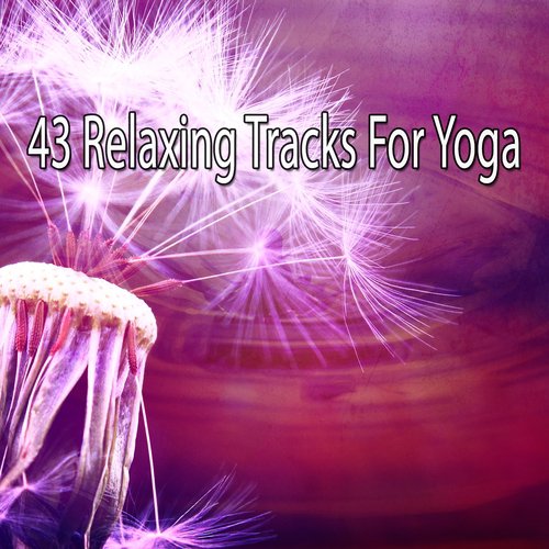 43 Relaxing Tracks For Yoga