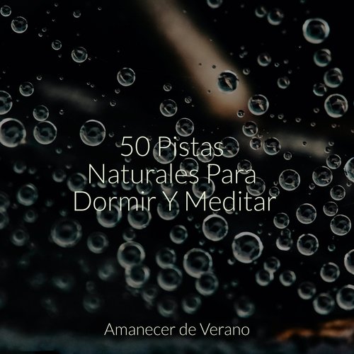 50 Pistas Naturales Para Dormir Y Meditar