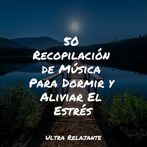 50 Recopilación de Música Para Dormir y Aliviar El Estrés_poster_image