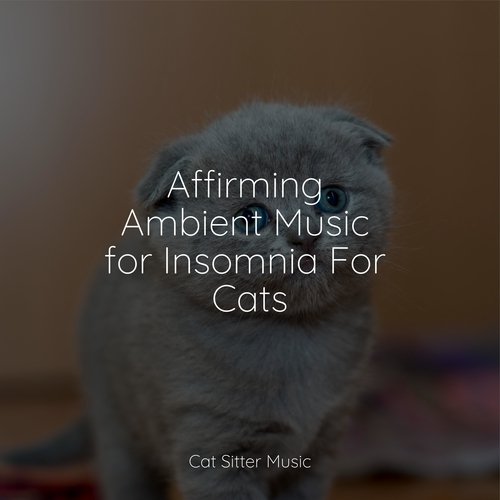 Affirming Ambient Music for Insomnia For Cats