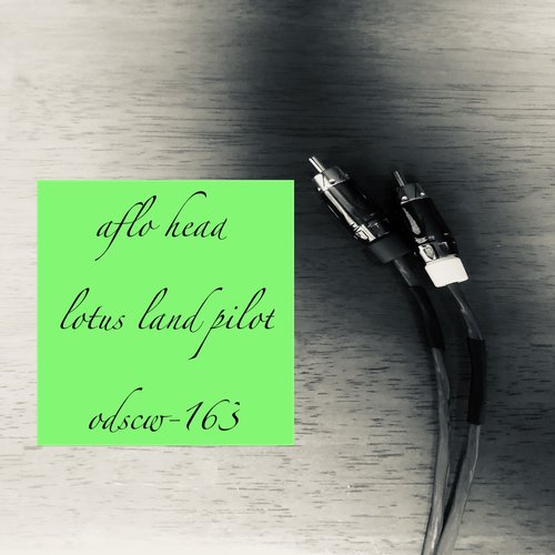 Aflo Head (Original Mix) cover art