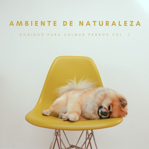 Música Para Perros cover art