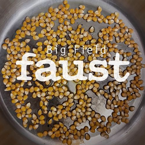 Big Field (Radio Edit (by Zappi W. Diemaier))