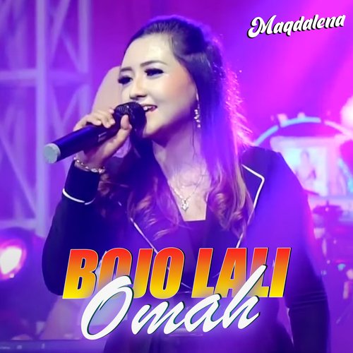 Bojo Lali Omah_poster_image