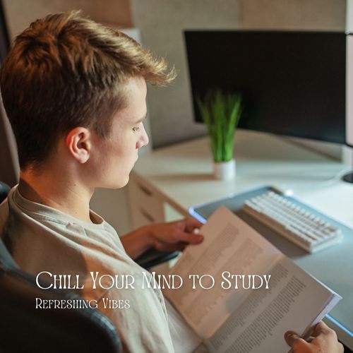 Chill Your Mind to Study: Refreshing Vibes_poster_image