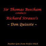 Don Quixote Sinks Into Madness