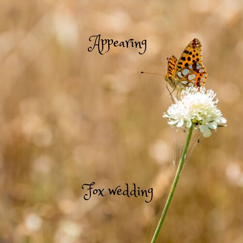 Fox wedding cover art