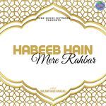 Habeeb Hain Mere Rahbar