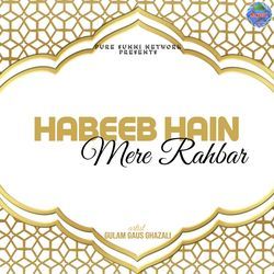 Habeeb Hain Mere Rahbar