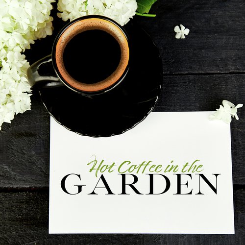 Hot Coffee in the Garden: Cafe Jazz Smooth Mix 2020