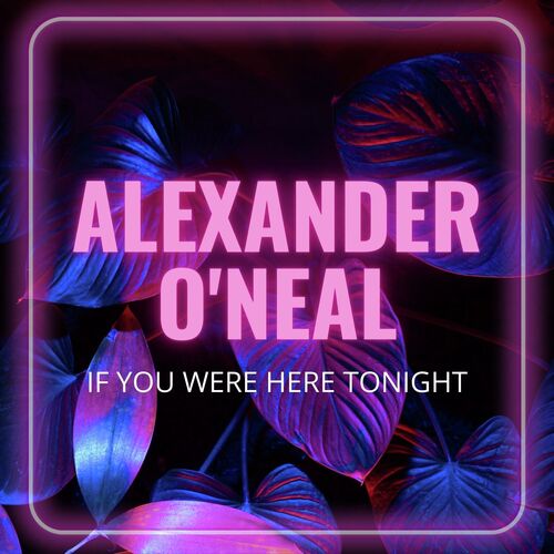 You're The First, The Last, My Everything