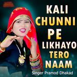 Kali Chunni Pe Likhayo Tero Naam