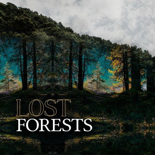 Comforting Growing cover art