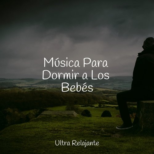 Conexión Divina cover art