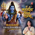Mahadev Shiv Shambhu