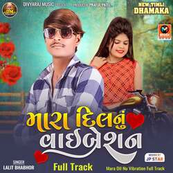 Mara Dil Nu Vibration Full Track-EwwbekUGB2I