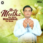 Meetha Meetha Hai Mere Muhammad Ka Naam