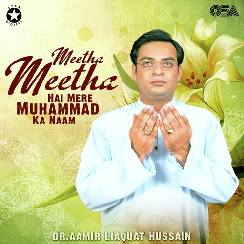 Meetha Meetha Hai Mere Muhammad Ka Naam_poster_image