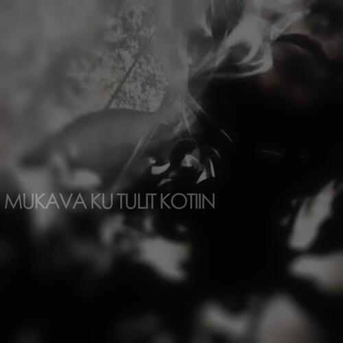 Mukava ku tulit kotiin_poster_image