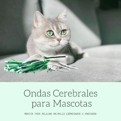 Libertad cover art