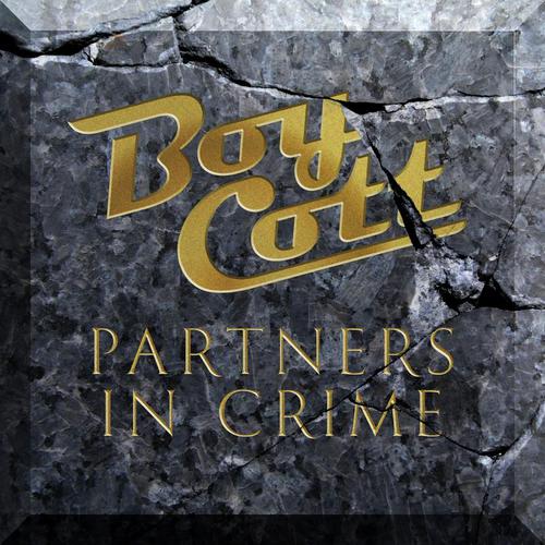 Partners in Crime_poster_image