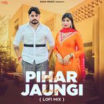 Pihar Jaungi - LoFi Mix