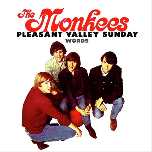 Pleasant Valley Sunday / Words