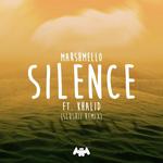 Silence (Slushii Remix)