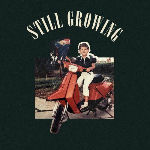 Still Growing_poster_image