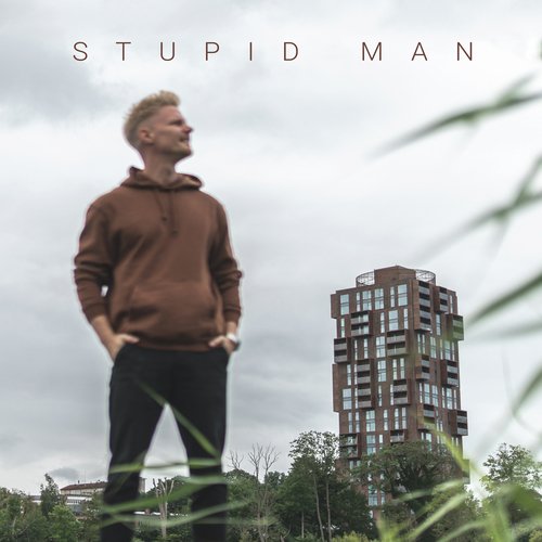 Stupid Man_poster_image