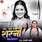 UP Ki Sherni Bigg Boss Me