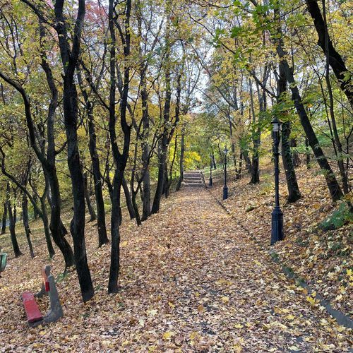 Whispers of fall