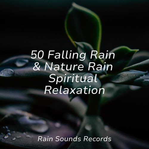Raindrops Dance on Glass cover art