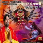 Aawat He Bhawani Dayi Jhoom Jhoom Ke