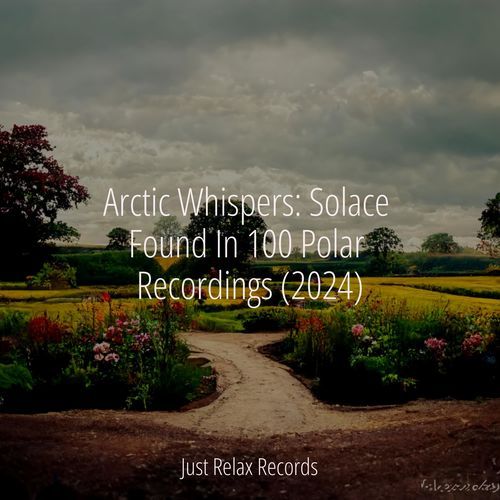 Arctic Whispers: Solace Found In 100 Polar Recordings (2024)