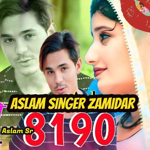 Aslam Sr 8190